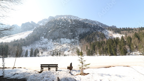Wallpaper Mural Waldweg vorbei an Flüssen der zu einem See mit Bergen führt Torontodigital.ca