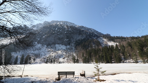 Wallpaper Mural Waldweg vorbei an Flüssen der zu einem See mit Bergen führt Torontodigital.ca