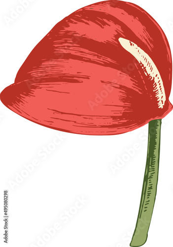 Tropical Flower Hand Drawn Illustration
