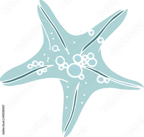Sea Starfish Hand Drawn Colored Illustration