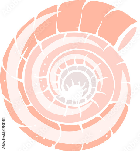 Seashell Hand Drawn Colored Illustration