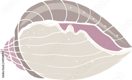 Elegant Seashell Hand Drawn Colored Illustration