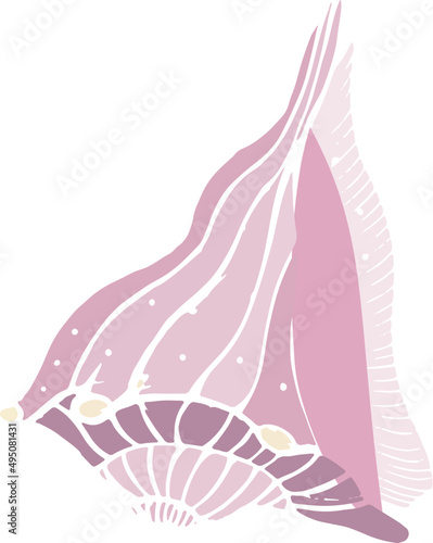 Beautiful Sea Shell Hand Drawn Colored Illustration
