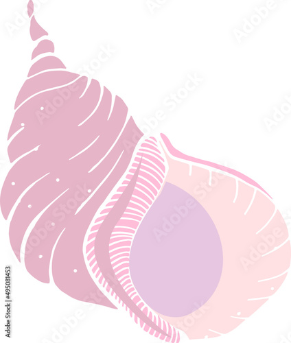 Marine Sea Shell Hand Drawn Colored Illustration