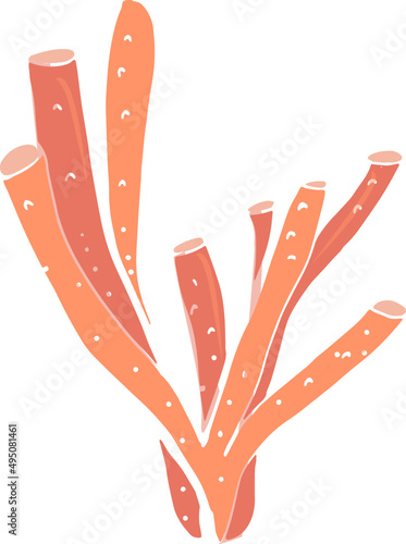 Coral or Seaweed Hand Drawn Colored Illustration