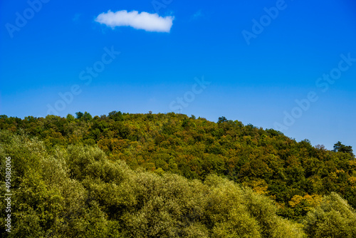 a forest landscape on the Dniester canyon, National Nature Park Dnister Canyon, Ternopil region, Ukraine