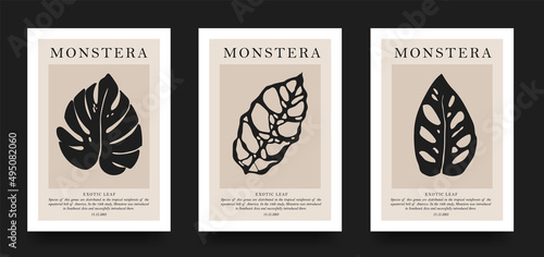 Collection of aesthetic posters with tropical leaves in a minimalist style. design for print, cover, wallpaper, minimalistic and natural wall art.