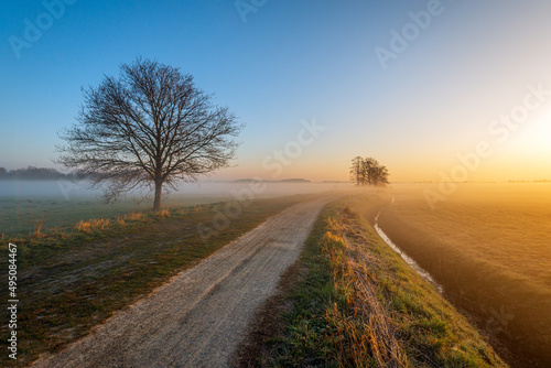 It s early in the morning and the sun is just rising. The morning mist hangs over the fields in the Dutch polder. The orange colored light of the sun gives a mystical effect to the landscape.