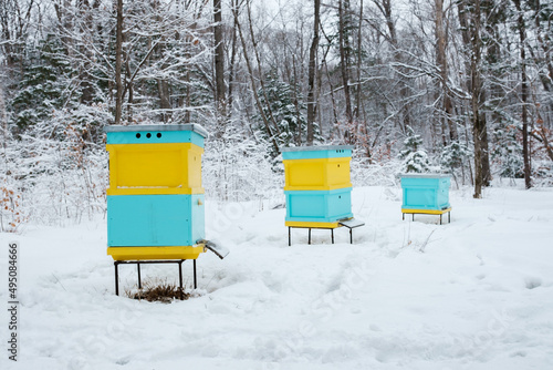 Bee hives in the snow. © Valerii