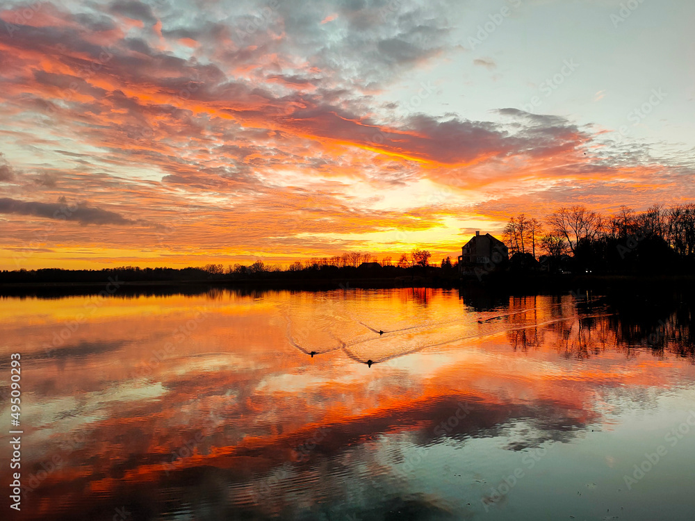 Kaczki na jeziorze o zachodzie słońca
