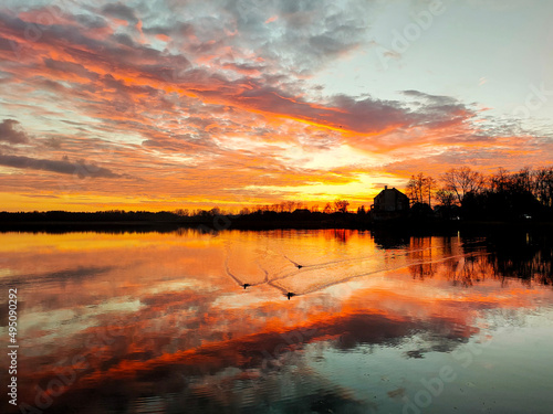 Kaczki na jeziorze o zachodzie słońca © Augustyn