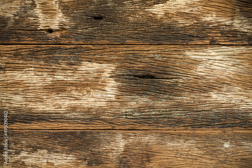 Old wood nature surface texture background. Empty backdrop for creative design concept. 
