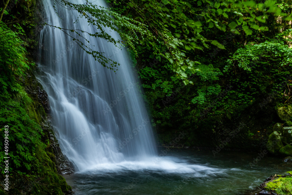 Obraz premium イノシシ滝 飛騨高山かくれはキャンプ場 初秋9月