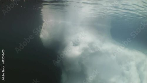 Underwater video in cold clear water of the Arctic Ocean and floating around inhabitants of the seas. Amazing, beautiful marine life world of sea creatures. Scuba diving and tourism.