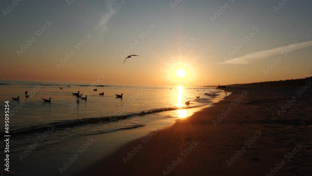 Golden sunrise at the beach. Amazing sunrise or sunset by the sea, flying seagulls and calm waves. Golden sunrise at the beach. Amazing sunrise or sunset by the sea, flying seagulls and calm waves.