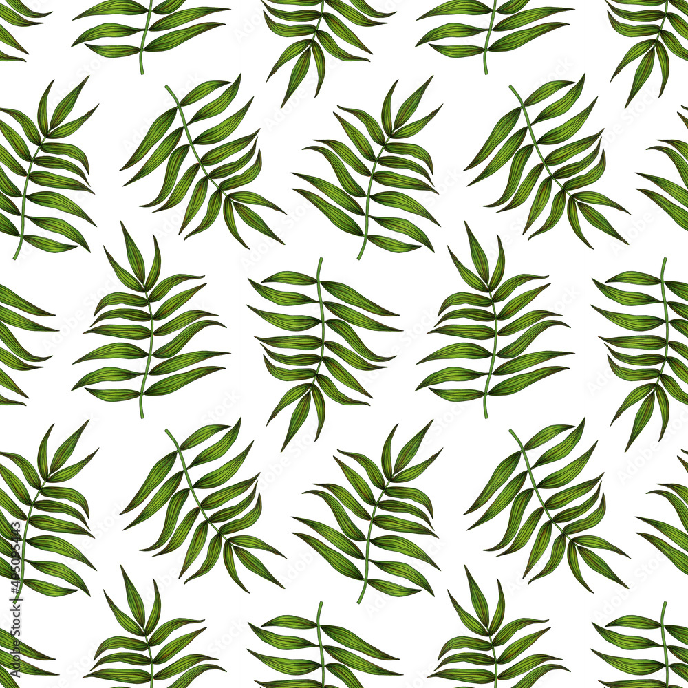 Fototapeta premium tropical palm leaves. seamless pattern on a white background.