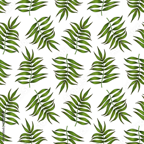 Fototapeta Naklejka Na Ścianę i Meble -  tropical palm leaves. seamless pattern on a white background.