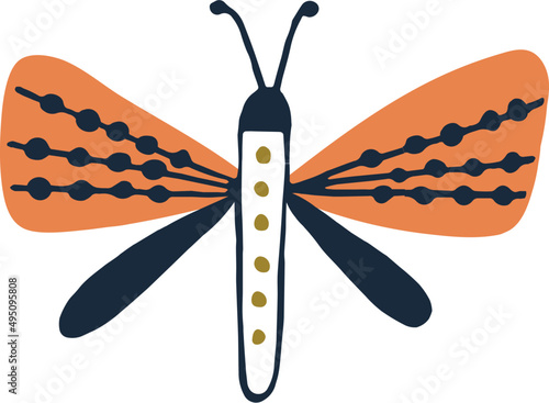 Butterfly or Moth Doodle Illustration