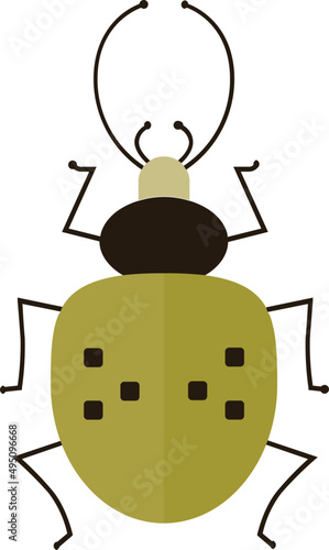 Cute Beetle Colored Illustration