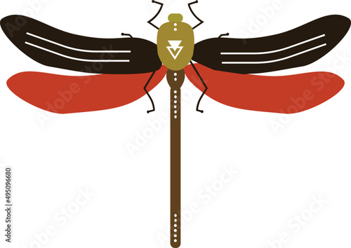 Dragonfly Colored Illustration