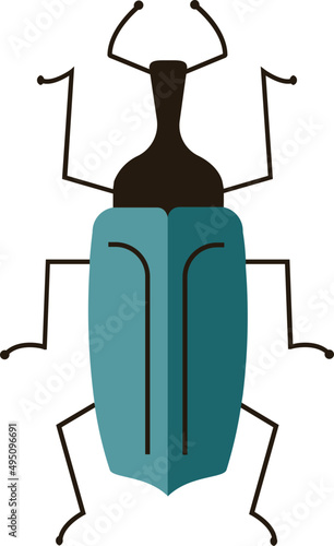 Beetle or Bug Colored Illustration