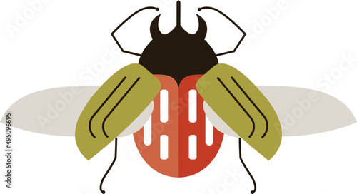 Winged Beetle Colored Illustration