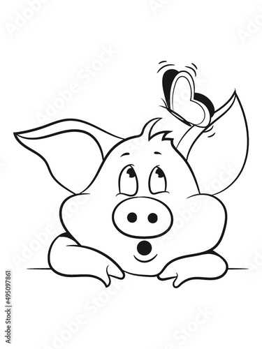 Schwein Ferkel sau  photo