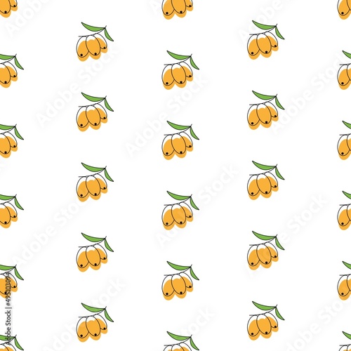 Sea buckthorn seamless pattern, vector illustration.