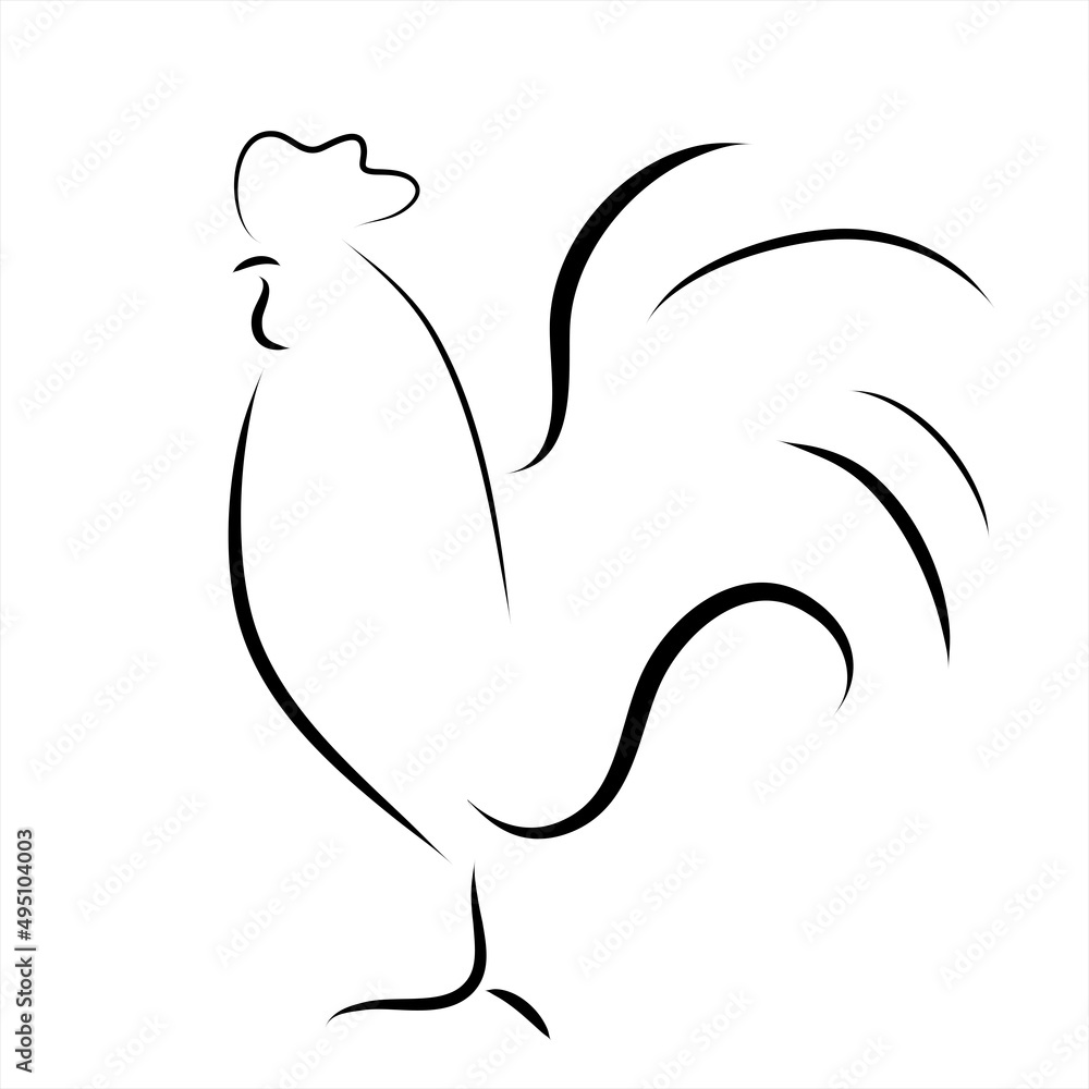 Vector illustration of rooster painted with simple lines. Symbol of poultry and farm animal.