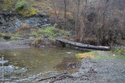 a large tree trunk like a bridge over a river