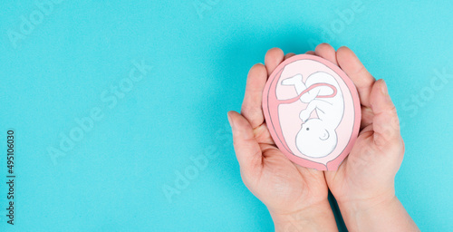 Fototapeta Naklejka Na Ścianę i Meble -  Unborn baby in the uterus, drawing of a fetus in the last trimester of pregnancy, childbirth and motherhood, gynecology health care
