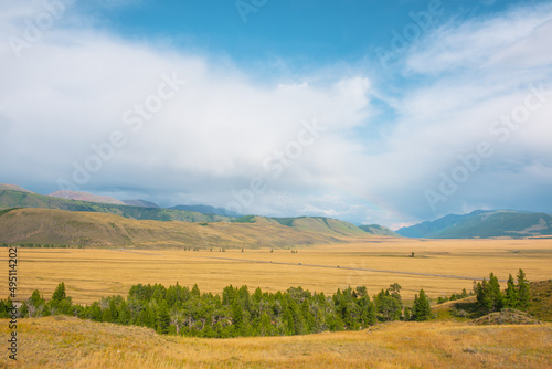 Dramatic view from forest to high mountain range in sunlight during rain in changeable weather. Colorful landscape with green forest and sunlit steppe against large mountains under cloudy sky in rain.