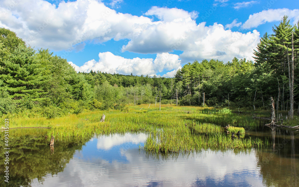 Summer in New Hampshire Summer in New Hampshire