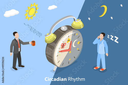 3D Isometric Flat Vector Conceptual Illustration of Circadian Rhythm, Human Body Inner Schedule