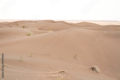 Sand dunes in the desert