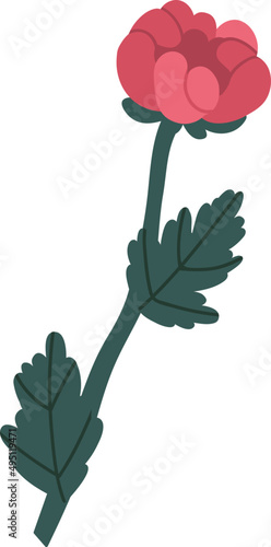 Stem of Peony Flower with Bud and Leaves Colored Realistic Illustration