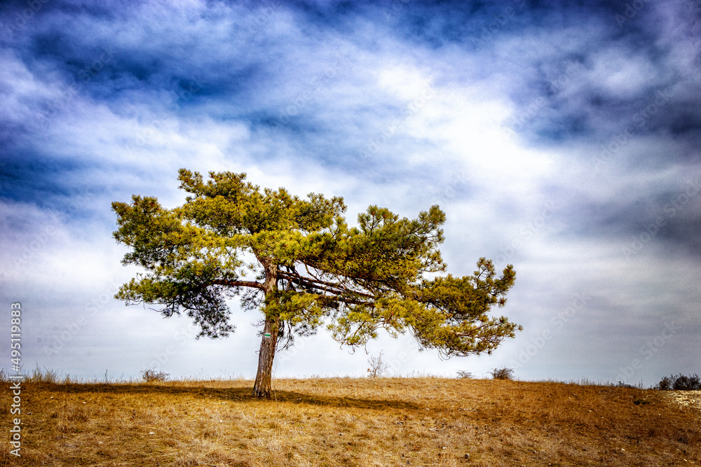 Obraz premium beum mit grünem Zeichen 