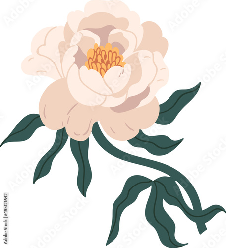 Tender Peony Flower Colored Cartoon Illustration