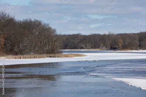 River with water fowl after fresh snow