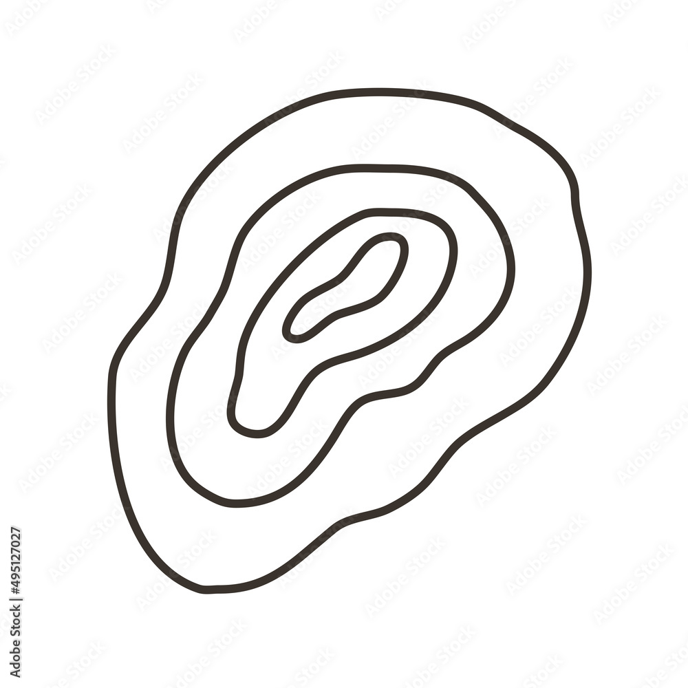 Abstract organic shape curled lines natural wood texture. Vector element isolated on a white background packaging branding Abstract organic shape curled lines natural wood texture. Vector element isolated on a white background packaging branding