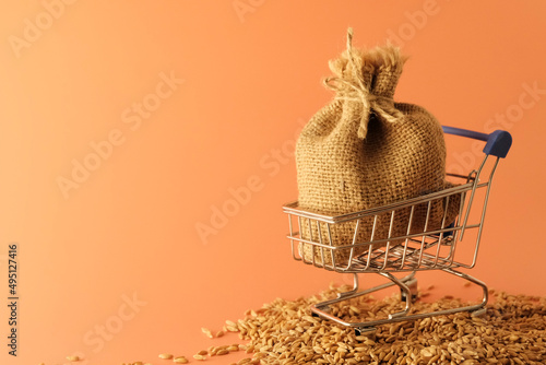 A sack of wheat, spilled in a grocery metal trolley. Concept - world food crisis, export, import. The issue of harvest in different countries of the world, the impact of sanctions.