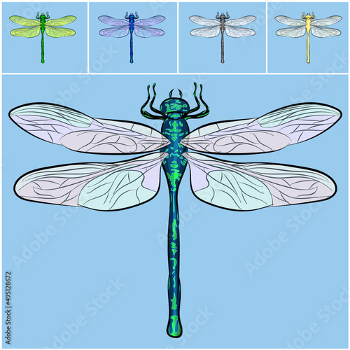 Flying dragonfly illustration set - set of different colored dragonfly - dragonfly  collection - isolated on light background - colored insects - beautiful dragonfly collection. 