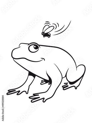 Frosch Wasser Teich 