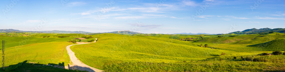 Country road crossing unique green landscape in Volterra Valley, Tuscany, Italy. Scenic dramatic sky over cultivated hill range and cereal crop fields. Toscana, Italia. Country road crossing unique green landscape in Volterra Valley, Tuscany, Italy. Scenic dramatic sky over cultivated hill range and cereal crop fields. Toscana, Italia.