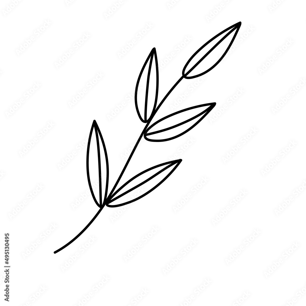 Contour black-and-white drawing of a twig with leaves. Vector illustration. Coloring page. Contour black-and-white drawing of a twig with leaves. Vector illustration. Coloring page.