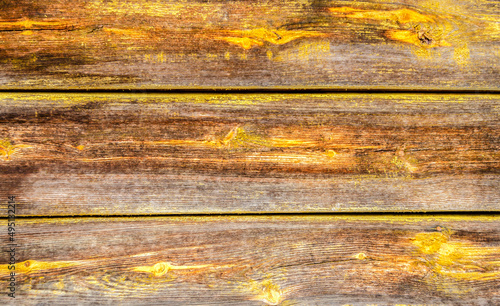 Wallpaper Mural Badly painted old boards. Texture of the old board Torontodigital.ca