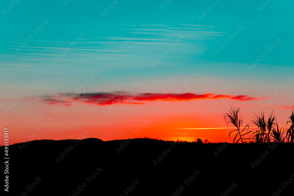 sunset landscape with a teal and orange sky and tree silhouettes