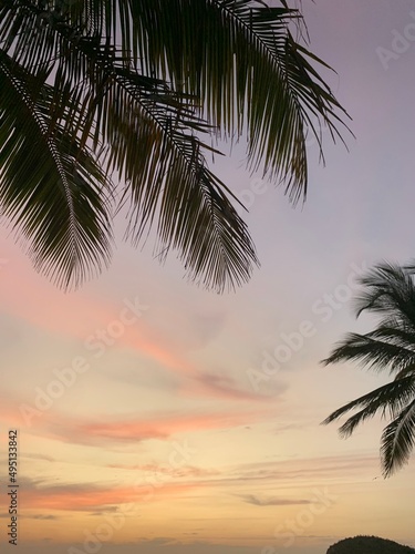 palm trees at sunset © Matteo