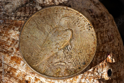 Peace Dollar 1922 Eagle (ID: 495133892)