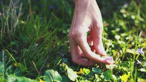 Mains touchant l’herbe